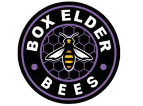 Welcome to our new site!